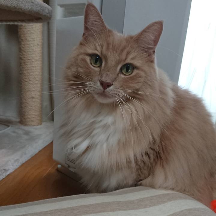 B4143e52 97f4 42f0 a192 cc5bac0a2980 1571633449519