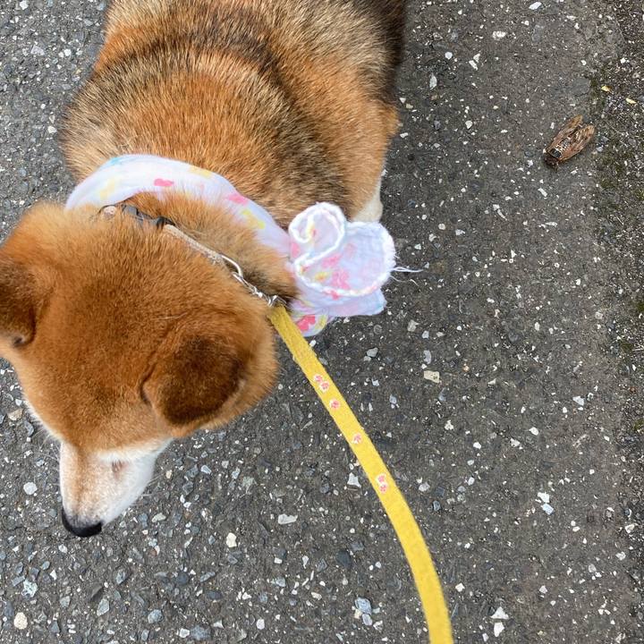 B4146951 985d 47fc 9313 ade32e406eac 1660629565350