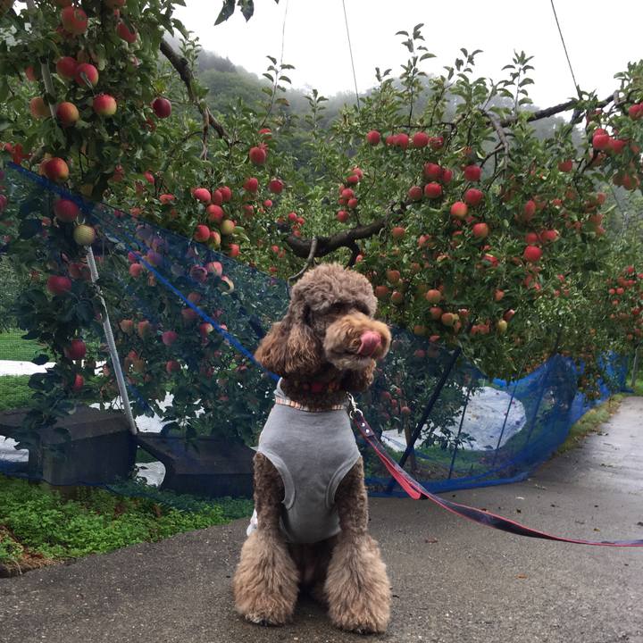 B4147333 6482 408e ad81 64c731406bb6 1508719558221