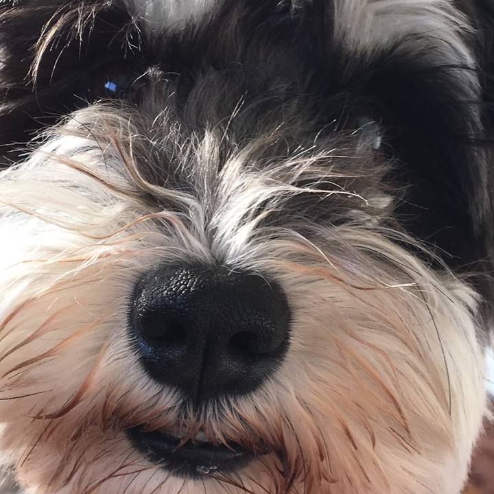 B414bf3a 84c4 4a97 a3c9 290be362f50a 1523572112164