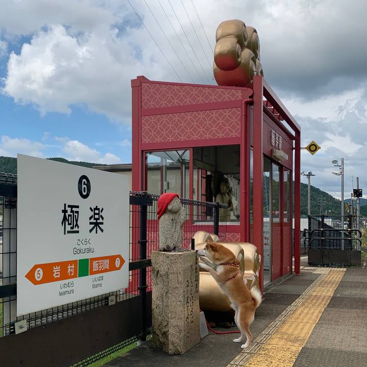 B414c05d feed 46ff a412 65c030bf6a96 1600257021697