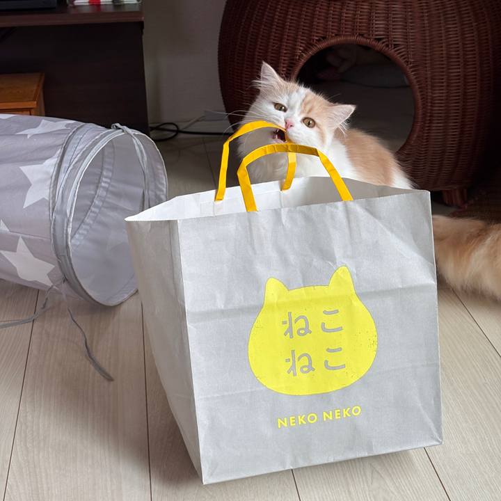 B414db7f 66da 4913 ba03 8a18943eba82 1754019369686