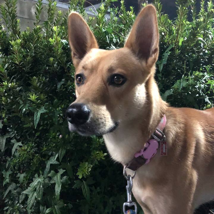 B414e8ce c71e 4603 ba93 cce3083fd98e 1537181735925