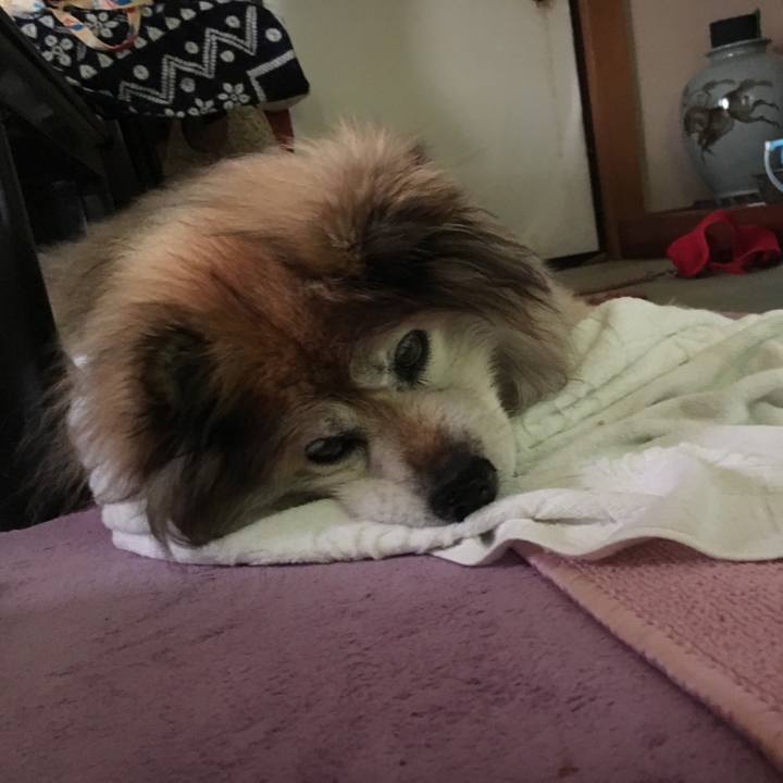 B414f347 9d7b 464d a5ba ab2de4c38586 1556695133846