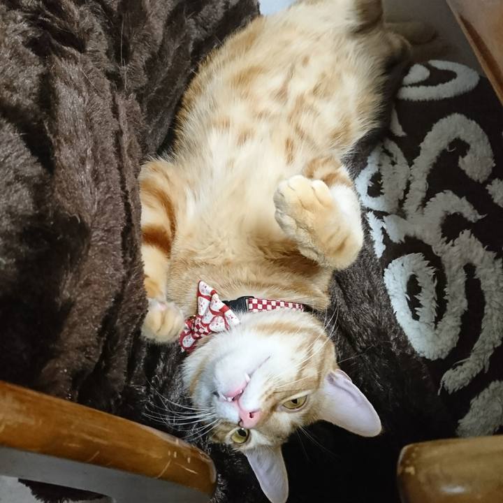 B4150c5e 4734 4158 8895 adcbd18fcee4 1513778728480