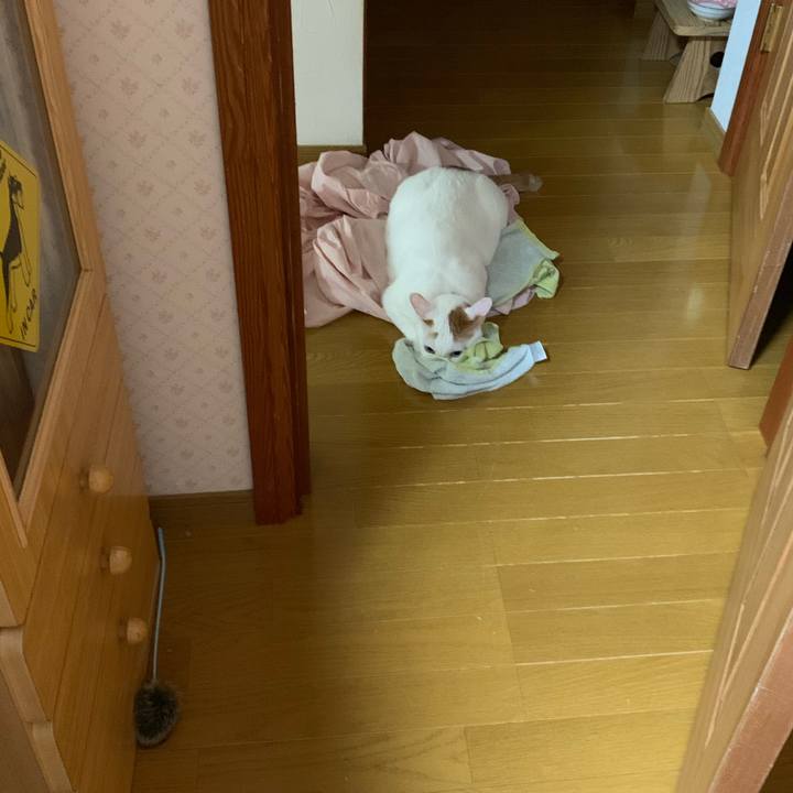 B4151c8b e36e 431a b475 b41231f5e327 1567574313200