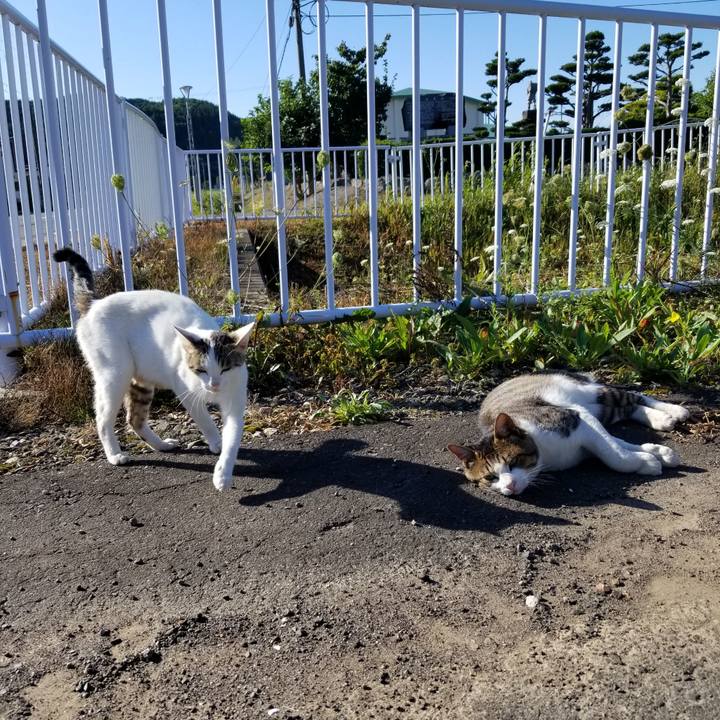 B41550cd 6bcb 4786 a49f 619e58db0a91 1599228396747