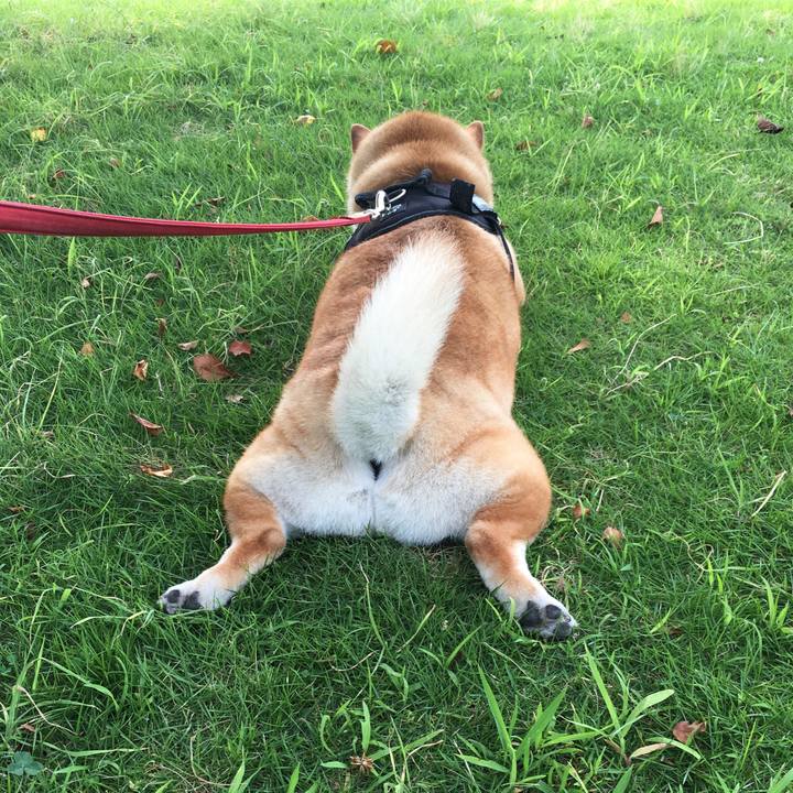 B41550e8 49fd 4c32 ab58 8940e6e73e2b 1597019377832