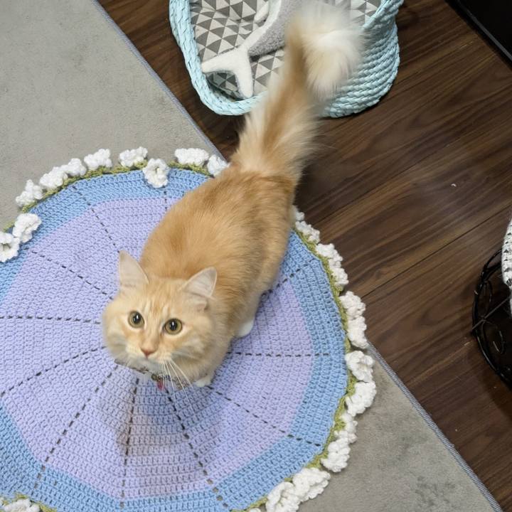 B4155661 5207 4b3d 806a 711fcf0a7f3d 1762671221335