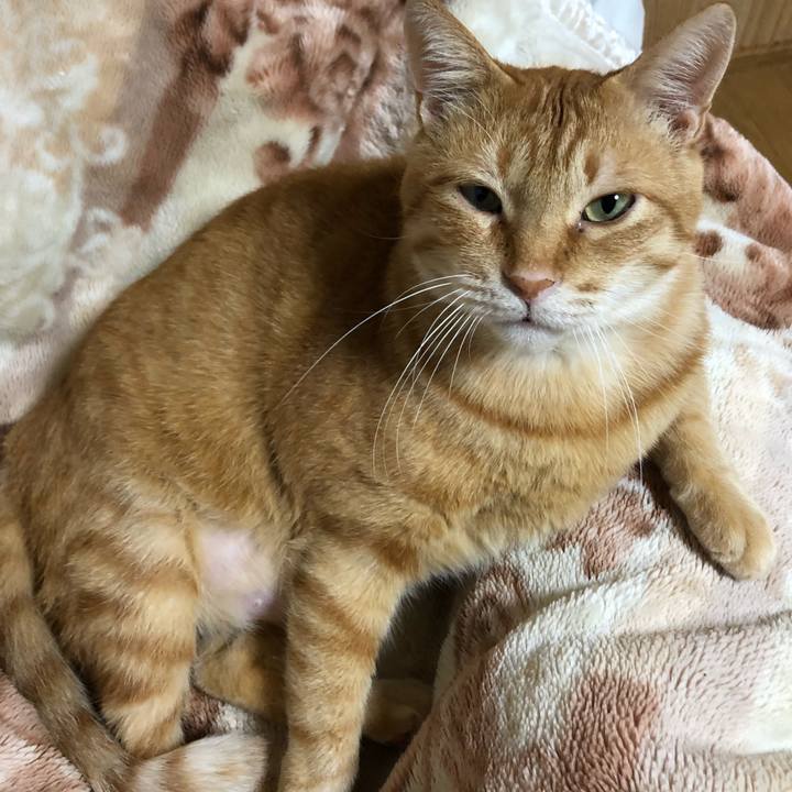 B41622e2 c708 4bcd 8e32 cd9be99c4dec 1603103447982