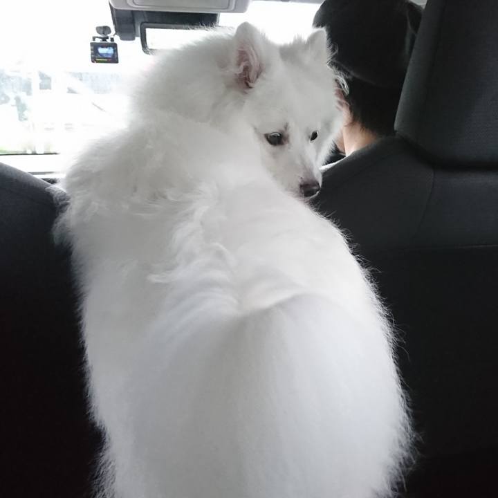 B4169144 7b17 4be3 b166 bbca3162294c 1561877664917