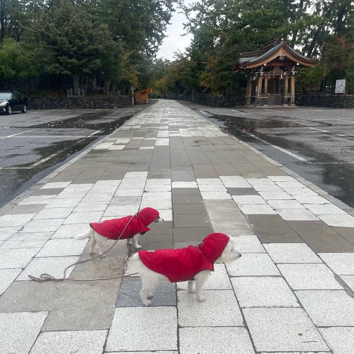 B416ce8c 051a 420e bdab 9d5db34726ae 1698532229074