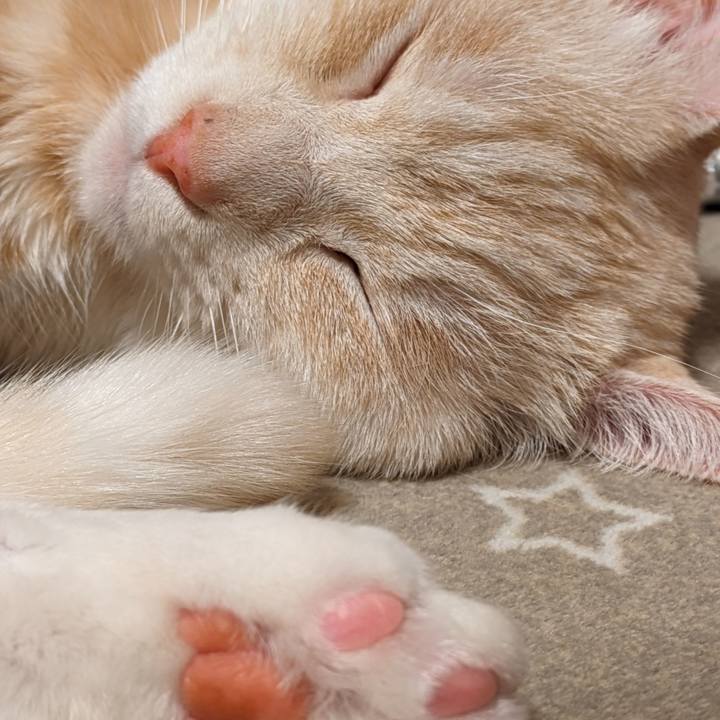 B41736a5 d4e0 4a7e 9da3 635912be0b1f 1710035753151