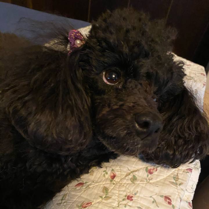 B417b76e 20a1 4e42 8d40 578838134f6e 1580279937608