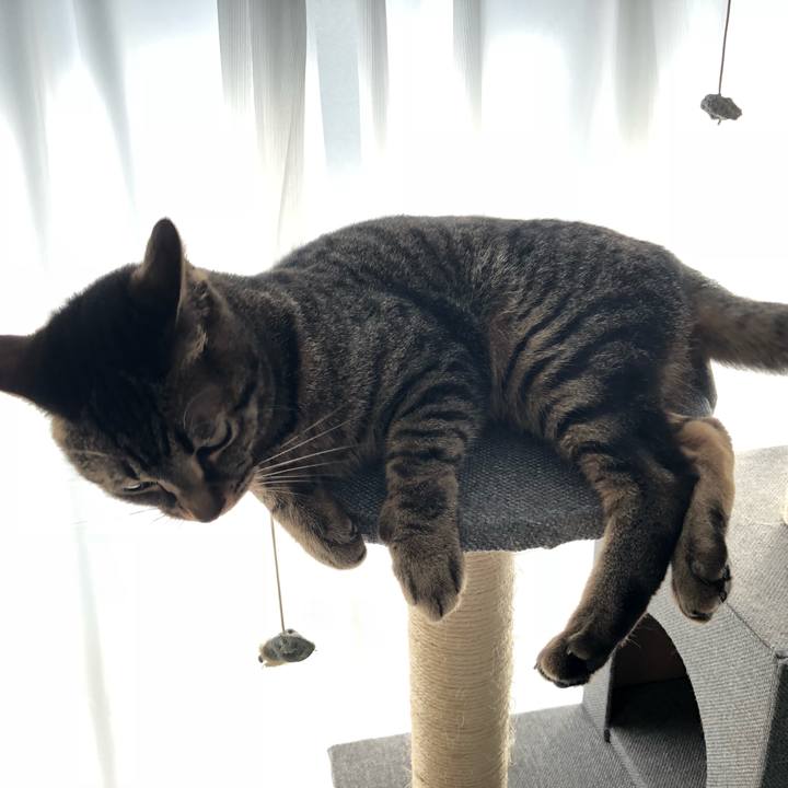 B417c947 09a7 417c 8913 c01482fc7d6a 1528127890955