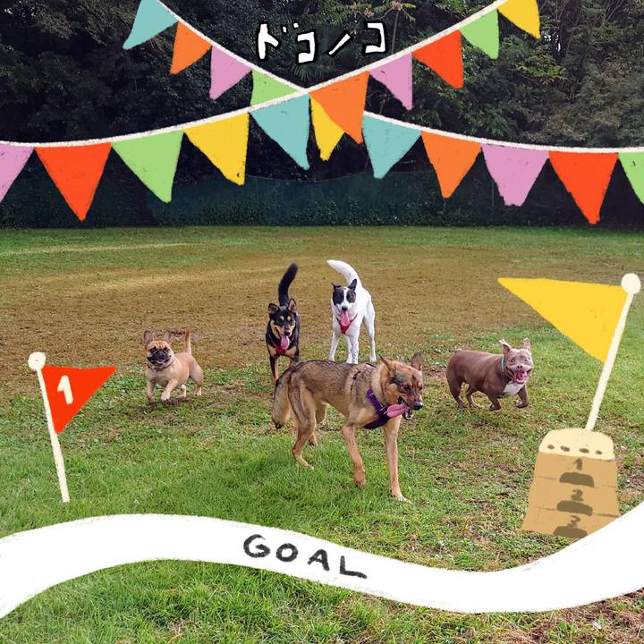 B417d4be 5273 44b6 b2b5 f846122758e1 1729299204352