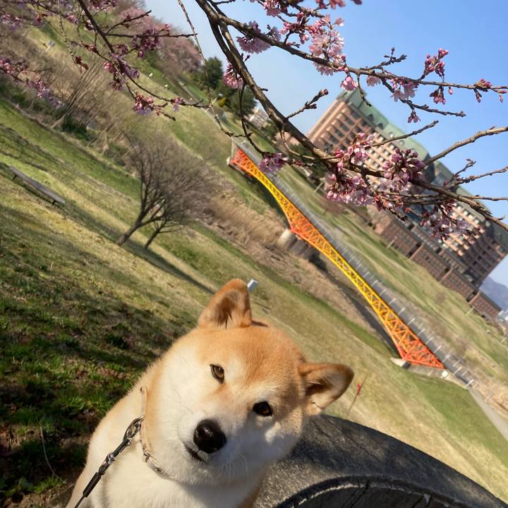 B417d815 2416 4d51 84f4 1dd589693d21 1712632324218