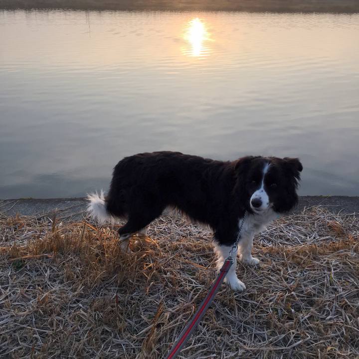 B4181e7f d9b3 4d2a 9bf0 7df883992b26 1581376929700