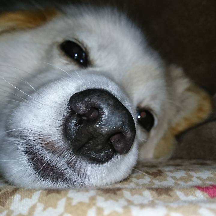 B4184e74 f2f6 40ad bd14 f7706069445d 1511557968987