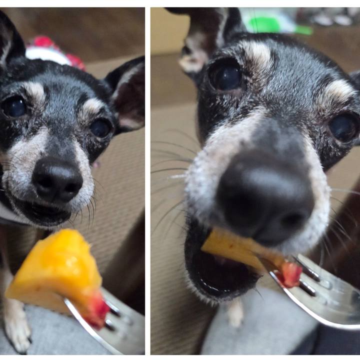 B4186775 15bc 474d b253 2c59b7f4aa4f 1759058412550