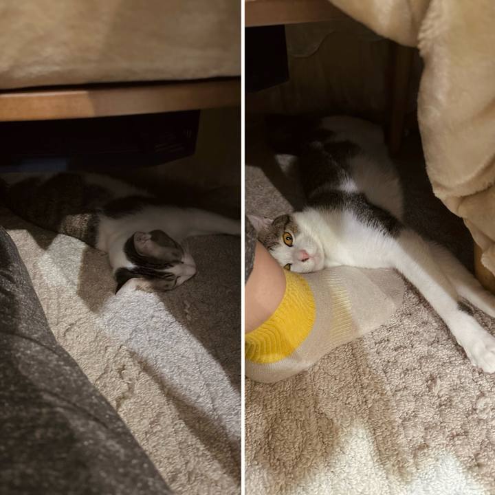 B418a3d5 67d1 4c74 99ef 7280ac0ea7ed 1764767636227