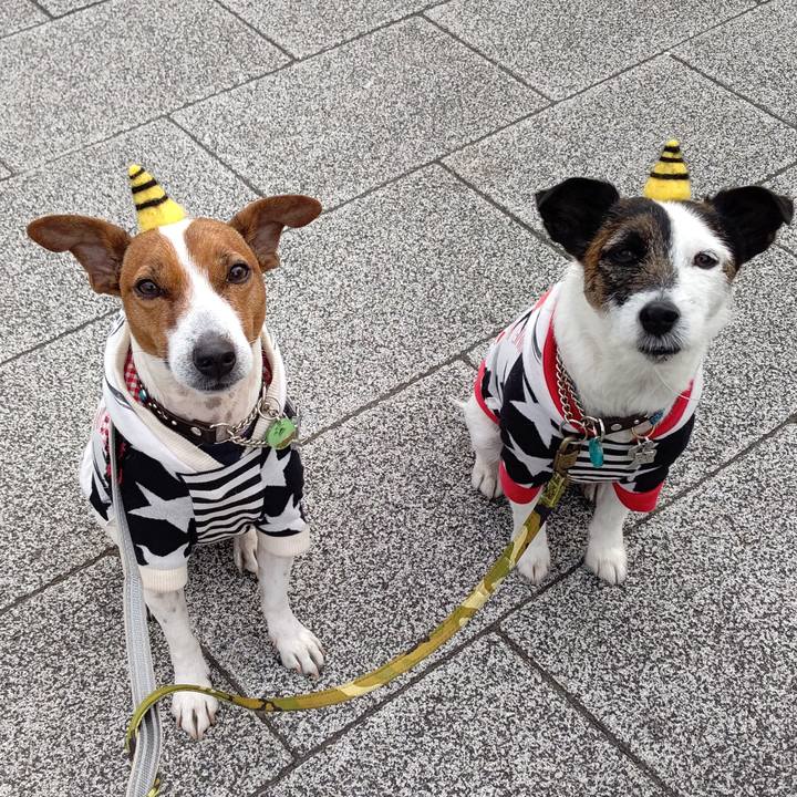 B418dc68 7a95 4ea2 9156 206fb0cfb495 1675382823188