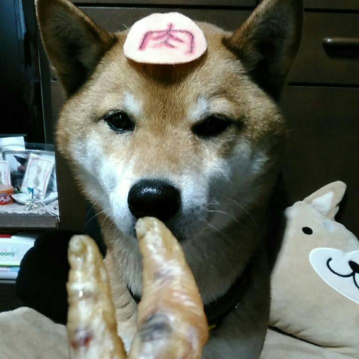 B4190cb8 7535 4550 8b74 356d98ee0d08 1553828203415