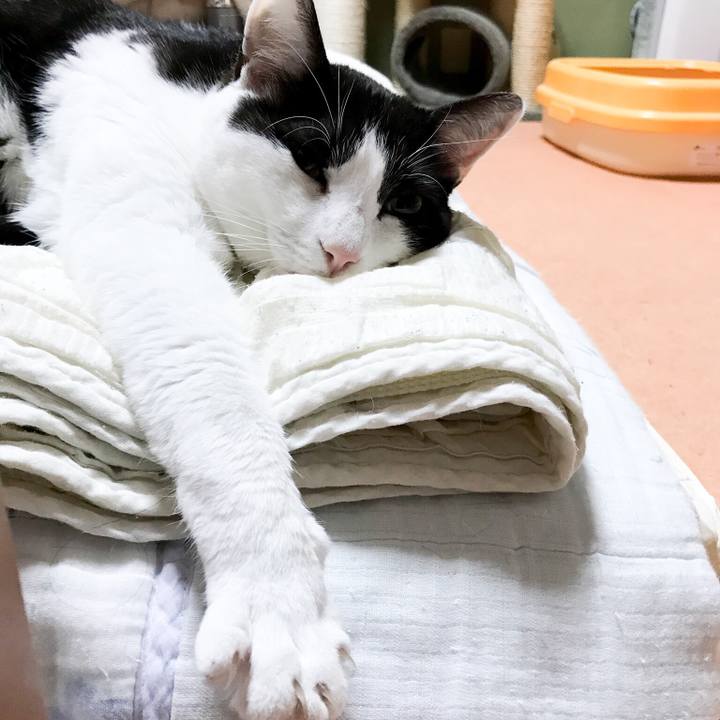 B4192919 d755 41a6 a795 e221d2cbf16a 1526952283798