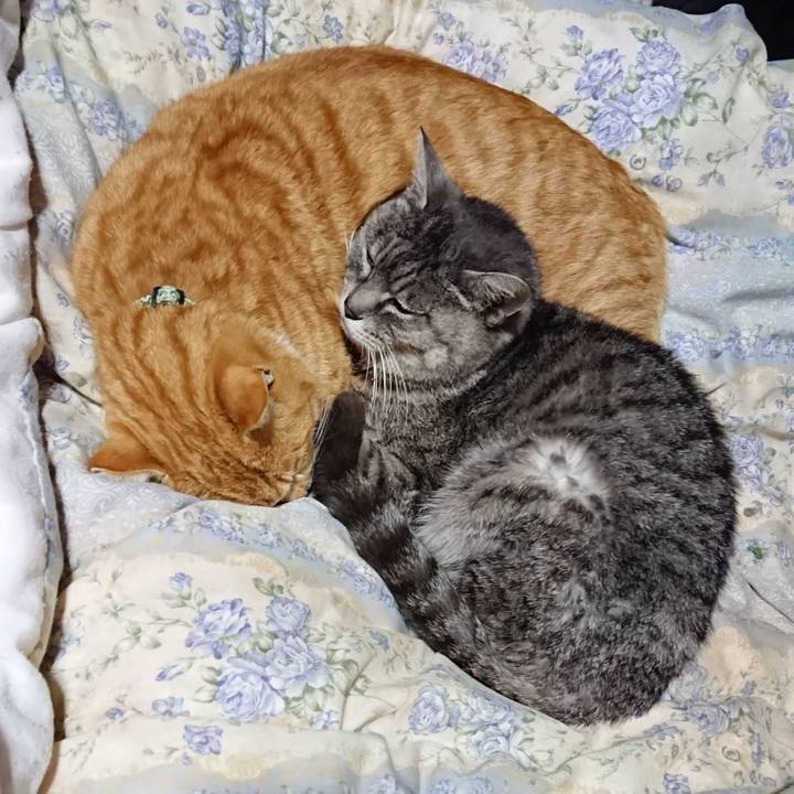 B4194635 12ee 433d bb66 b7a1d3fe2011 1582205011395