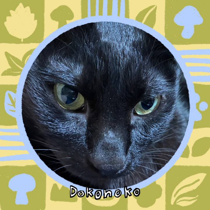 B419674c 972f 4262 954a dcec8b798c35 1761213489950