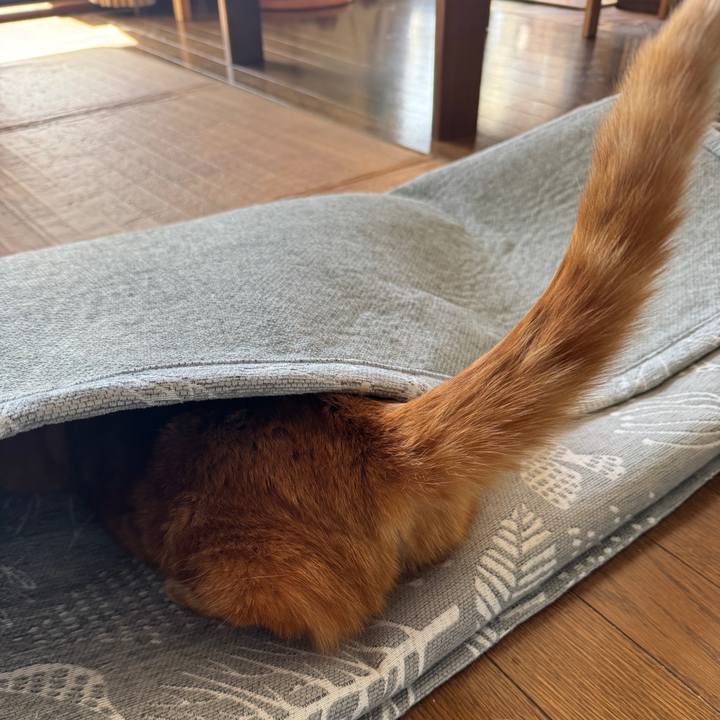 B4197c3f 5ca6 4c7f b774 84a7c846b53f 1771639011627