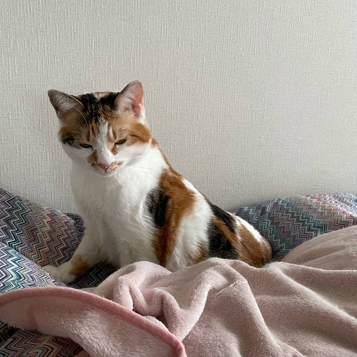 B41981c3 f17a 4588 b353 6115e7a3e6c3 1615160939876