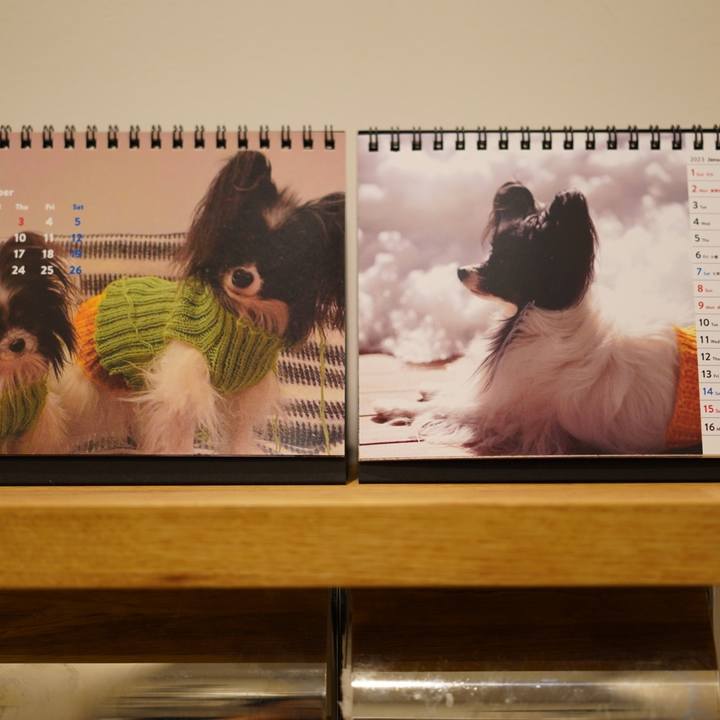 B419a4d2 909c 4baf a7c9 7ea48fbbca25 1668682268182