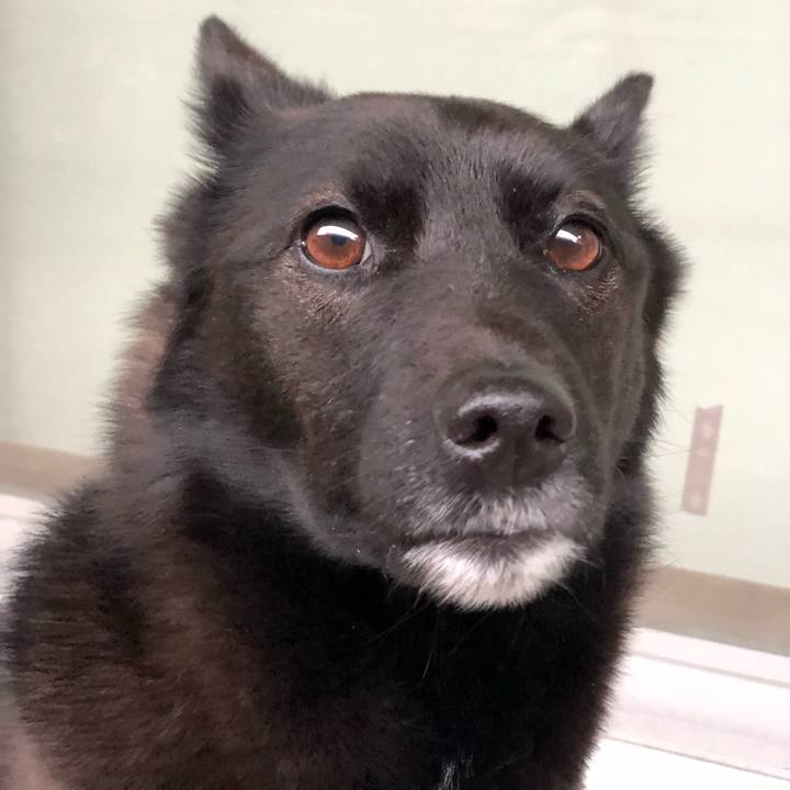 B419b2b4 959d 4aaf 8424 a9c51ce28286 1621034561930