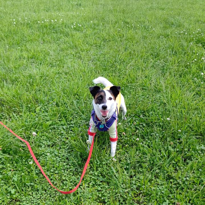 B419b41b 40e4 45d6 bce8 823a2334fa82 1653202207624