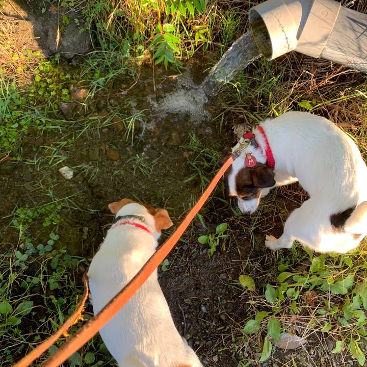 B419ffa7 f784 4f04 8694 820df6e2d3d7 1564955387088