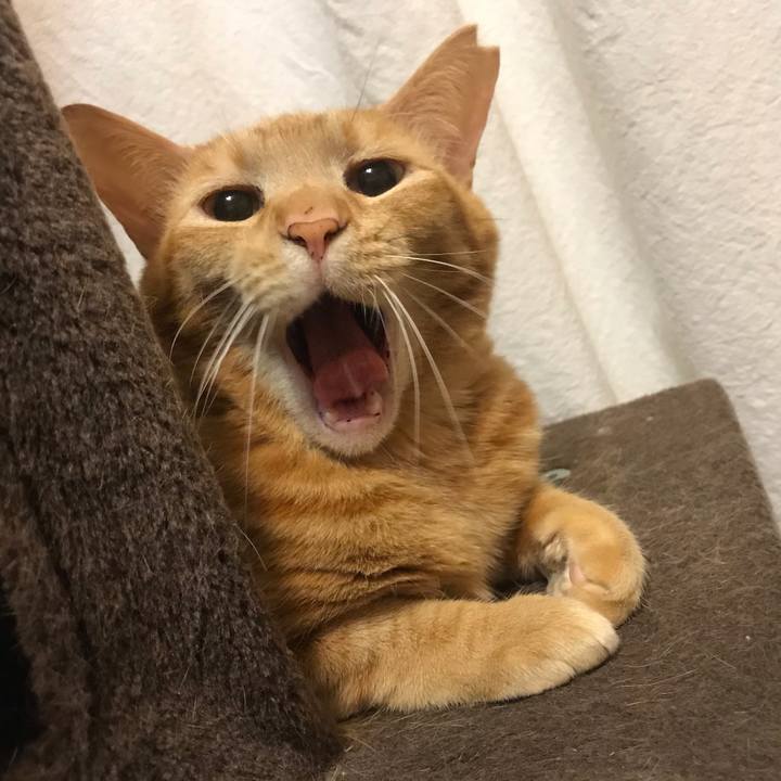 B41a03bc ea4d 4faf 9013 20f9d3286846 1592313023071