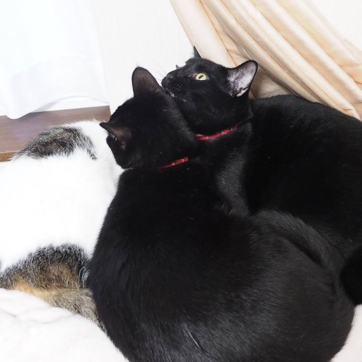 B41a3051 1d2b 48e4 87d2 eb6d11e6ba55 1540855520799