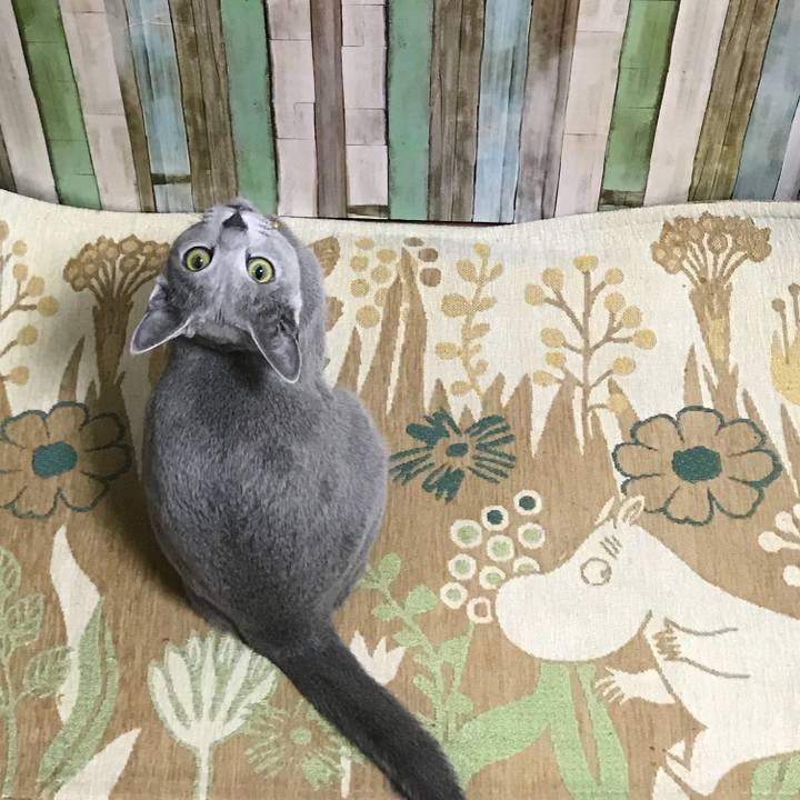 B41a8b9c fe92 4a1f 8372 a1c6be56241f 1526423581336