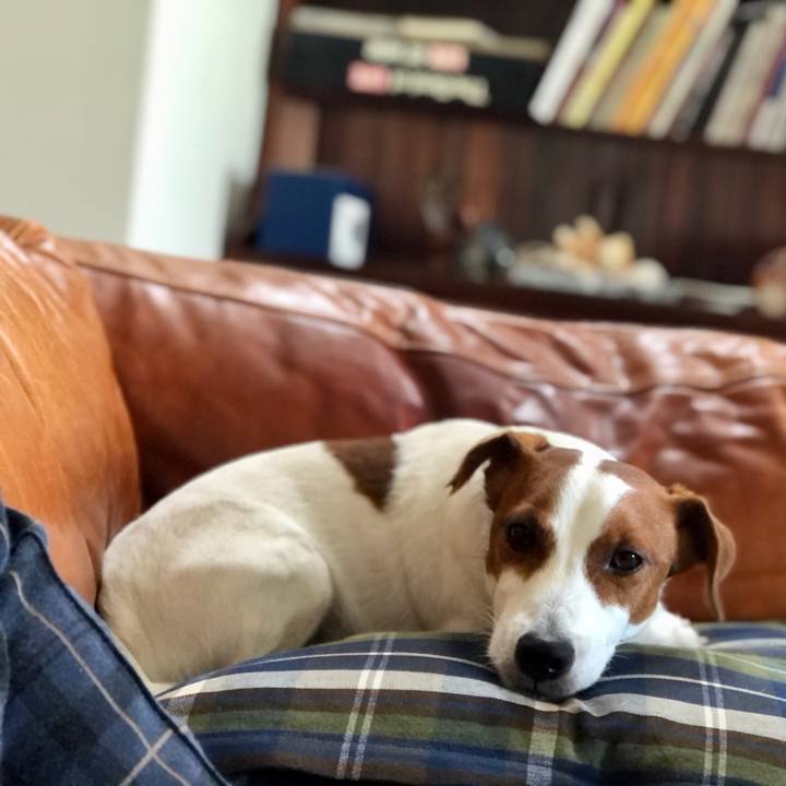 B41ac228 d7a2 4962 822d 8c745899e51f 1620810909932