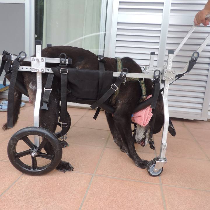 B41b494f a5e7 4d67 ae3e 6c0c5f302171 1507777168106