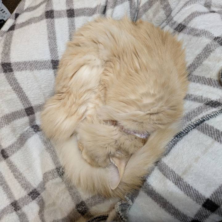 B41b52d2 edff 43ab bcba de406400411d 1770476280271