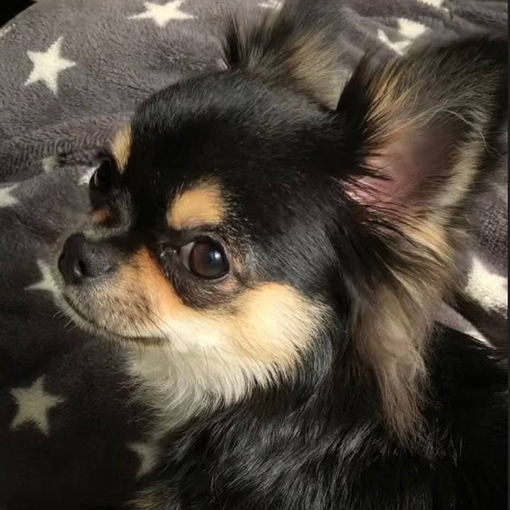 B41b5d9a 719e 4a0c 8f2e 9380bdea8b9d 1546057812940