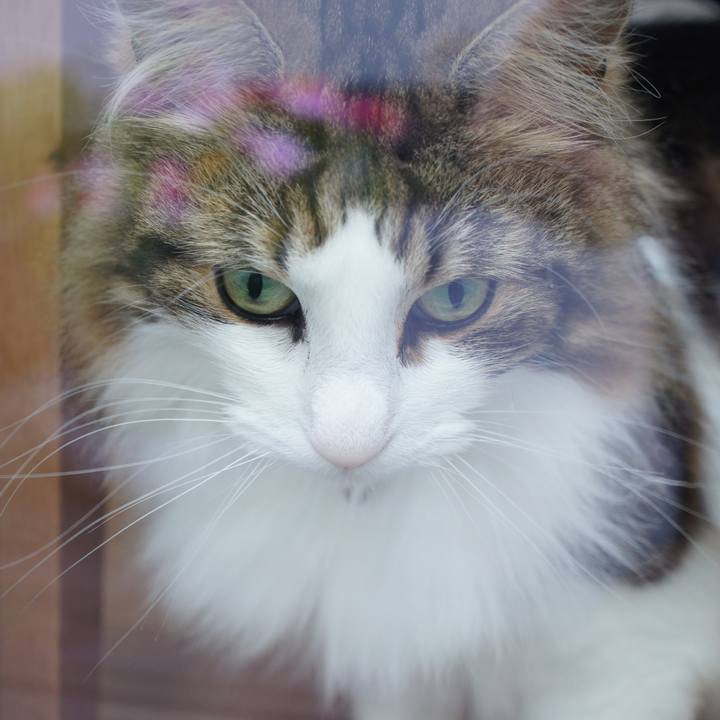 B41b62b2 2920 4553 8785 d391a9185aff 1527728694987