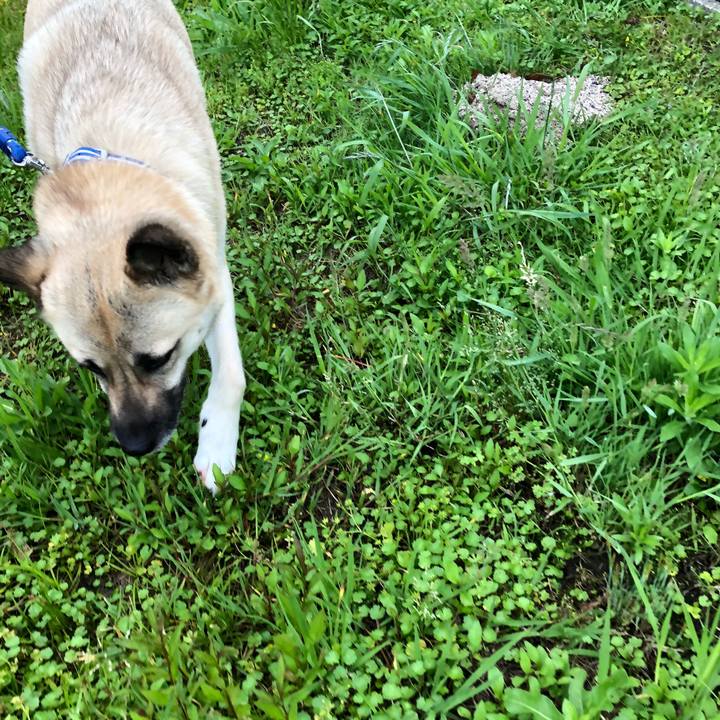 B41b681d 6243 4abf af08 7c3d4ab1c9a0 1527774348263