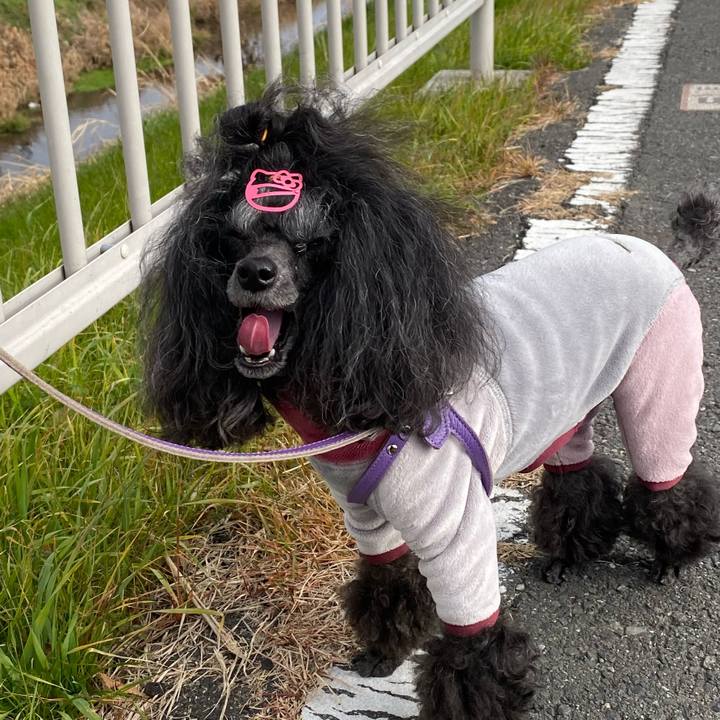 B41b7b7a af84 41cd 8d55 c4b64b4096db 1704258493651