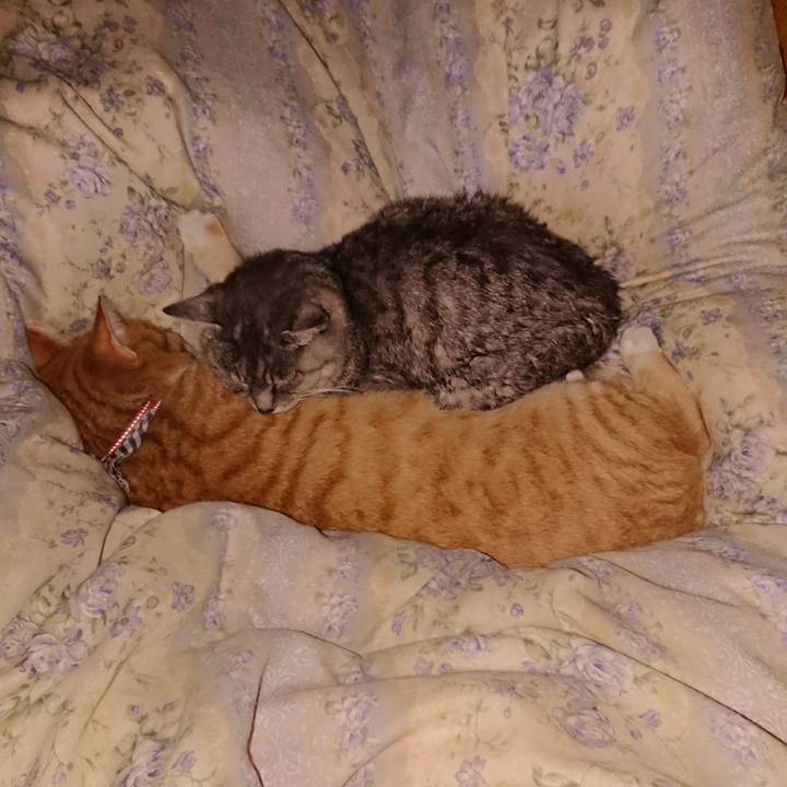 B41b80e9 7fb5 4bd0 9277 690a93ae1540 1573227372081