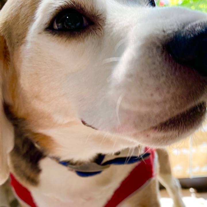 B41ba524 399f 4bde 88d8 3a9fccceaf4a 1588304749690