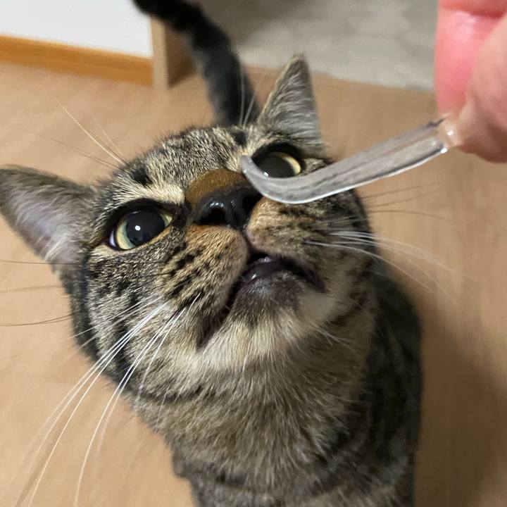 B41ba745 8311 43ce 8497 55f5adec1a1d 1625230035651