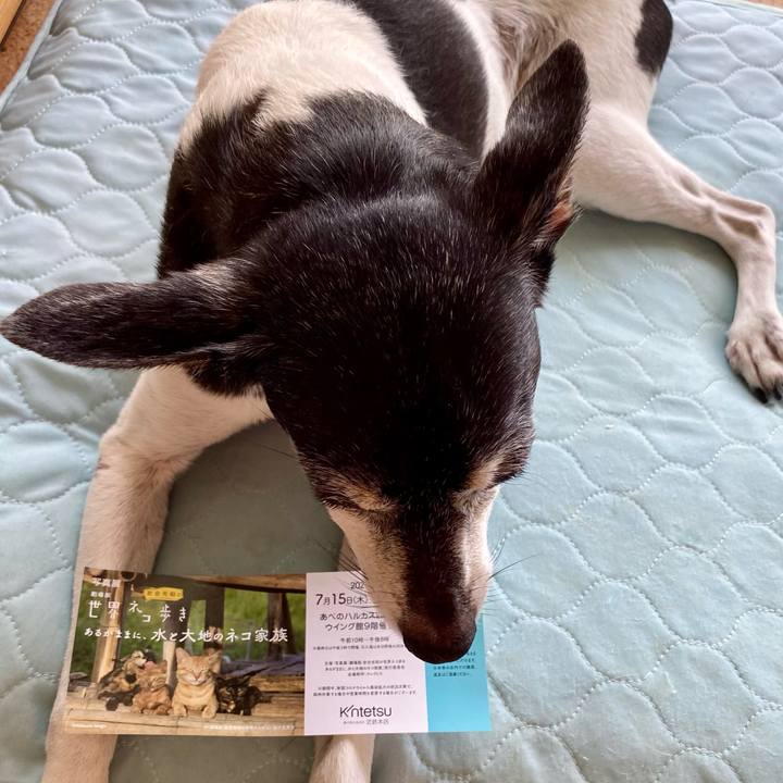 B41bae7f 76e6 42d9 8e24 741d8c63d70f 1626320297162